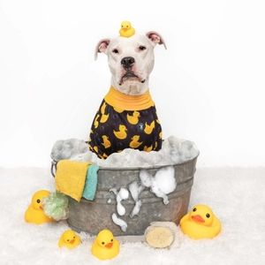 SALE Rubber Ducky Dog Pitbull Pajamas